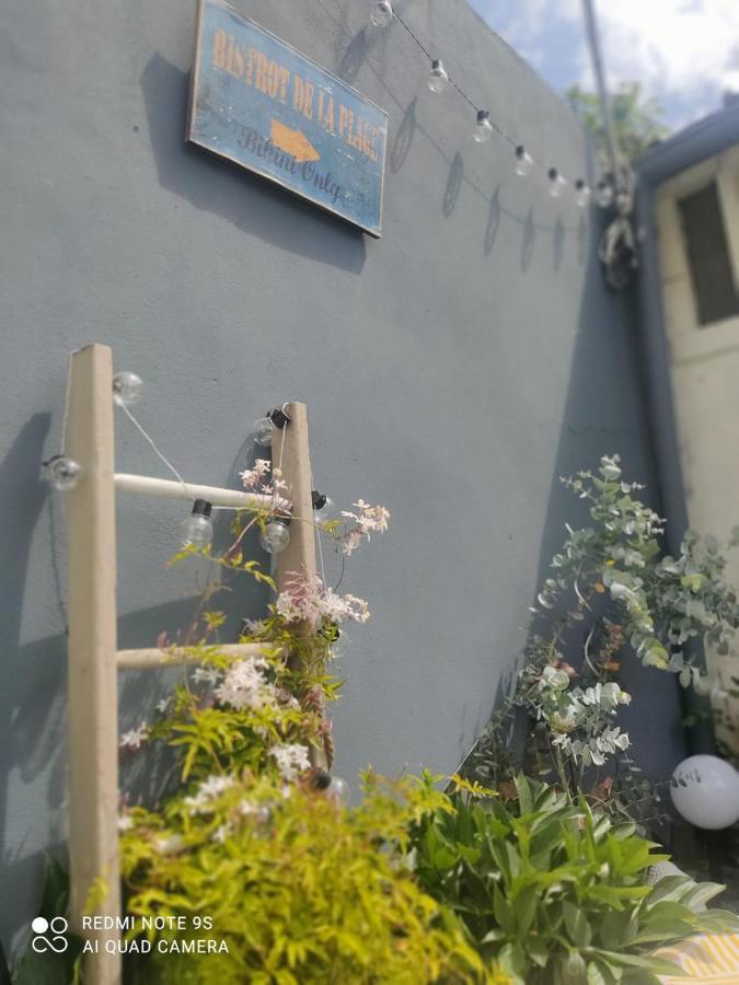 Le Cocon Des Hortillonnages D'Amiens Camon  Exterior photo
