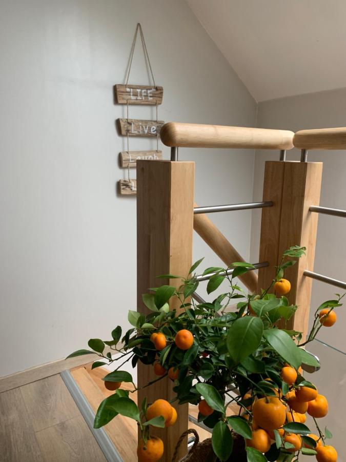 Le Cocon Des Hortillonnages D'Amiens Camon  Exterior photo