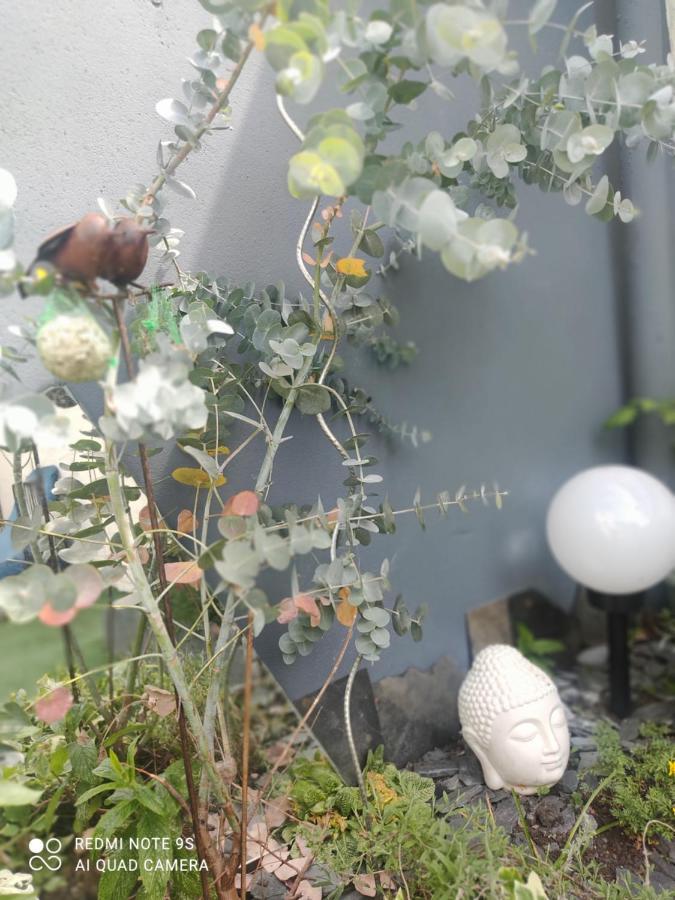 Le Cocon Des Hortillonnages D'Amiens Camon  Exterior photo