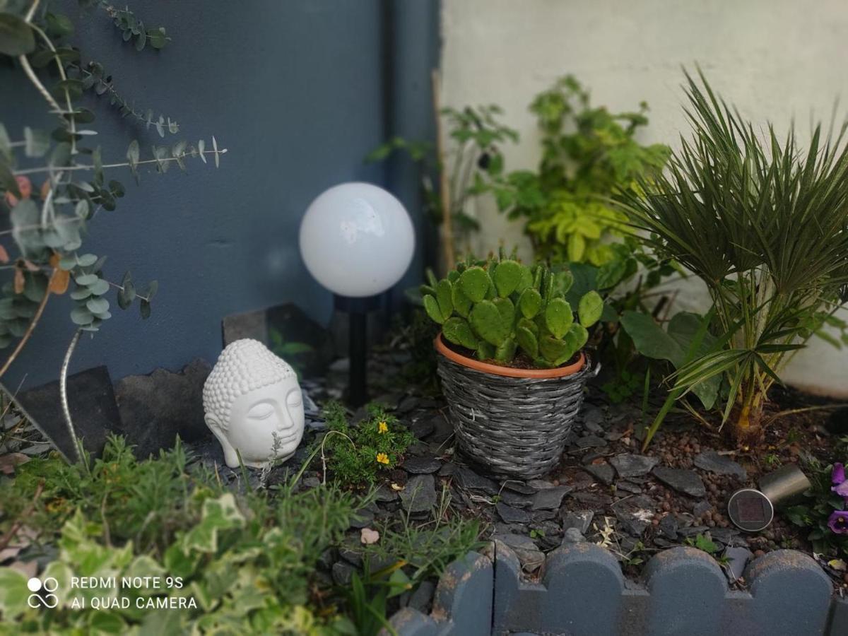 Le Cocon Des Hortillonnages D'Amiens Camon  Exterior photo