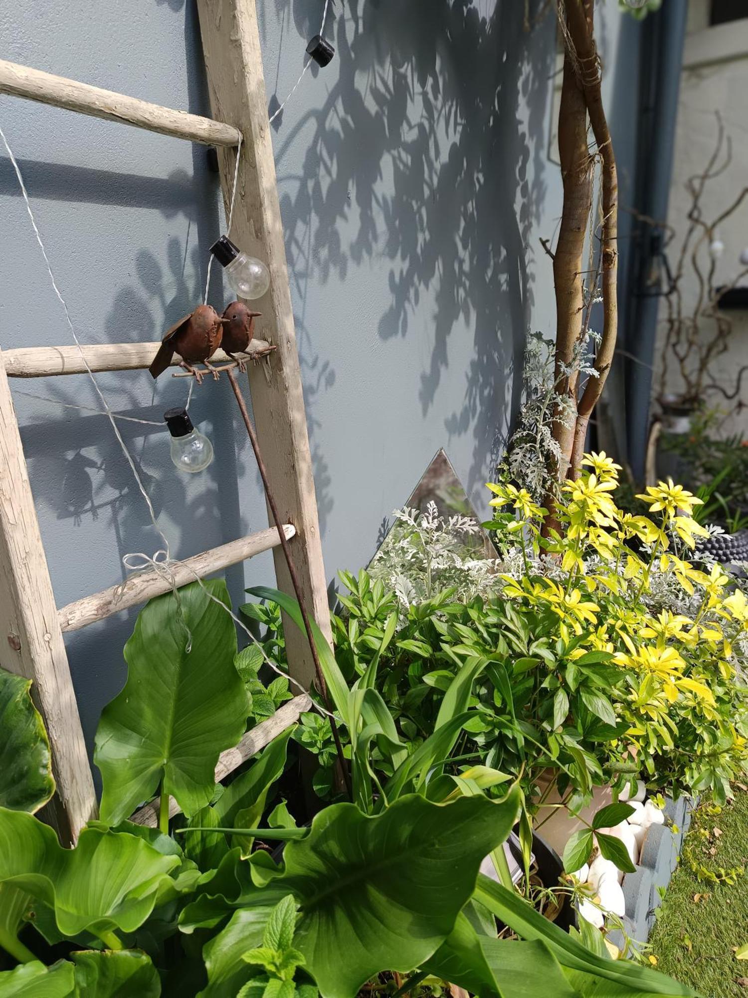 Le Cocon Des Hortillonnages D'Amiens Camon  Exterior photo